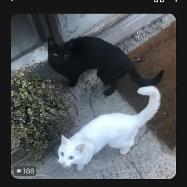 Profile image of 체육선생님