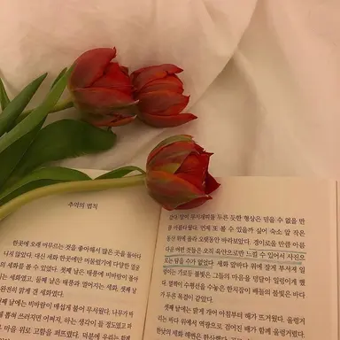 Profile image of 한솔