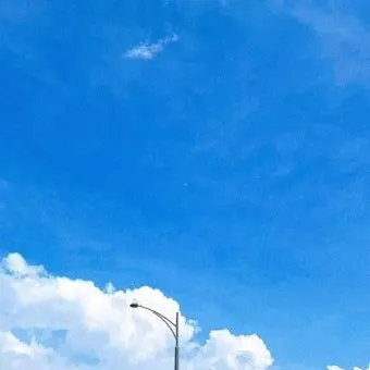 Profile image of 티푸
