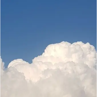 Profile image of 파이브