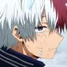 Profile image of Shoto Todoroki