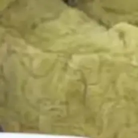 Profile image of 北斗