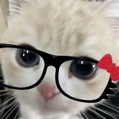 Profile image of 정이안