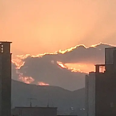 Profile image of 보플2 오빠빠빠들