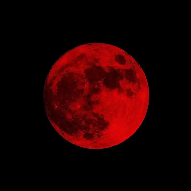 PlacidDull5972의 영웅과 빌런의 전쟁