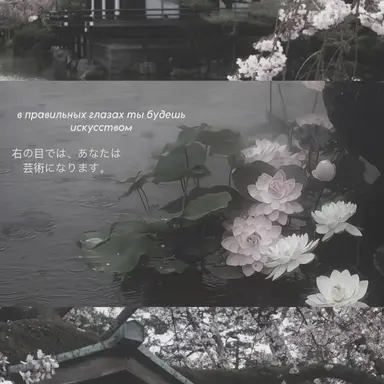 Profile image of 他