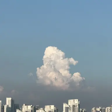 Profile image of 또니 순경