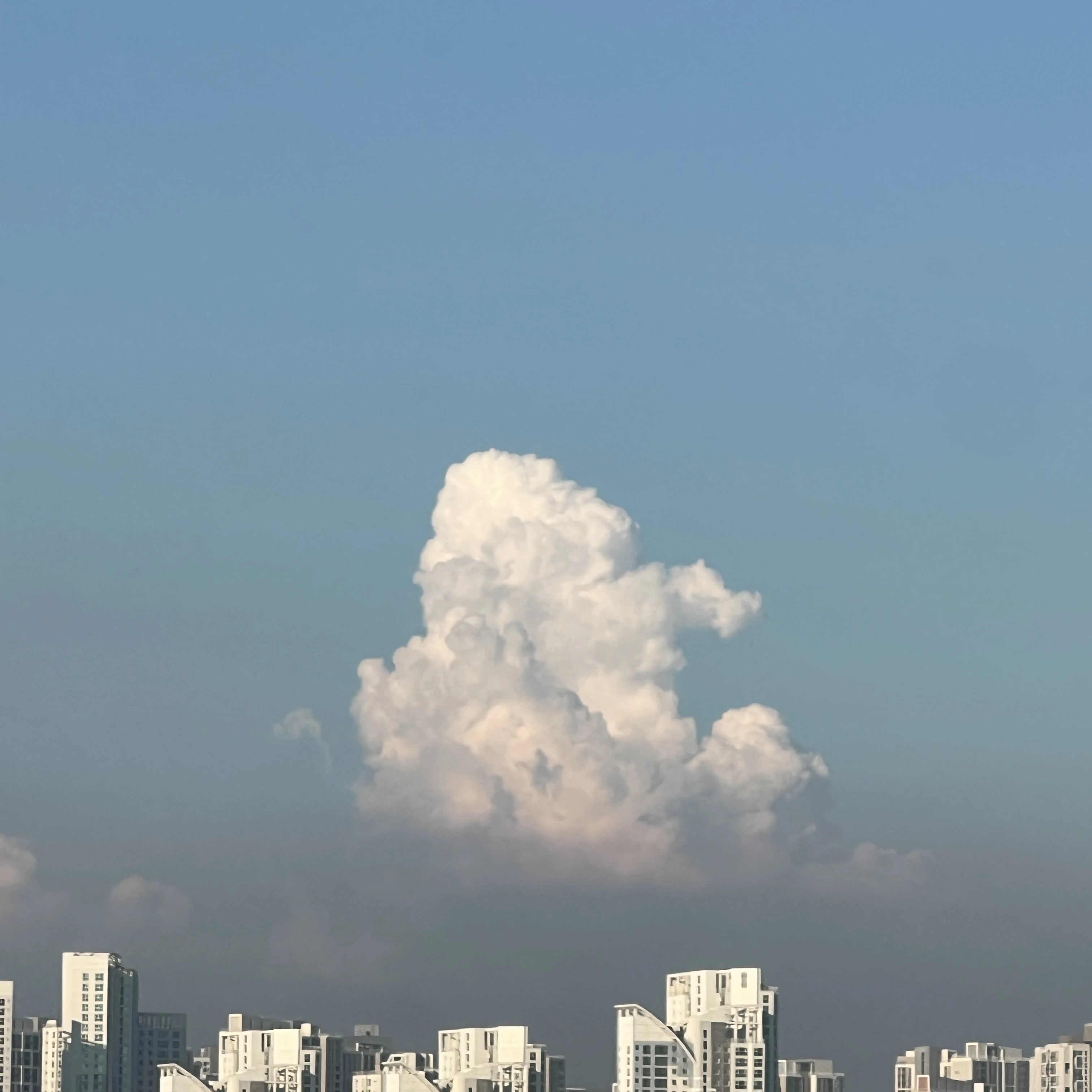 또니 순경