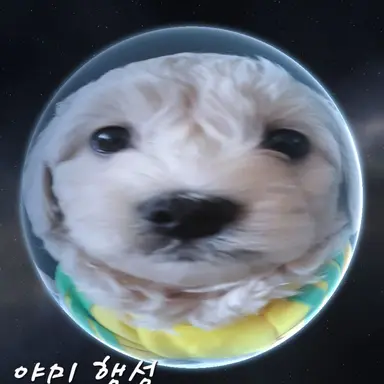 Profile image of 친구