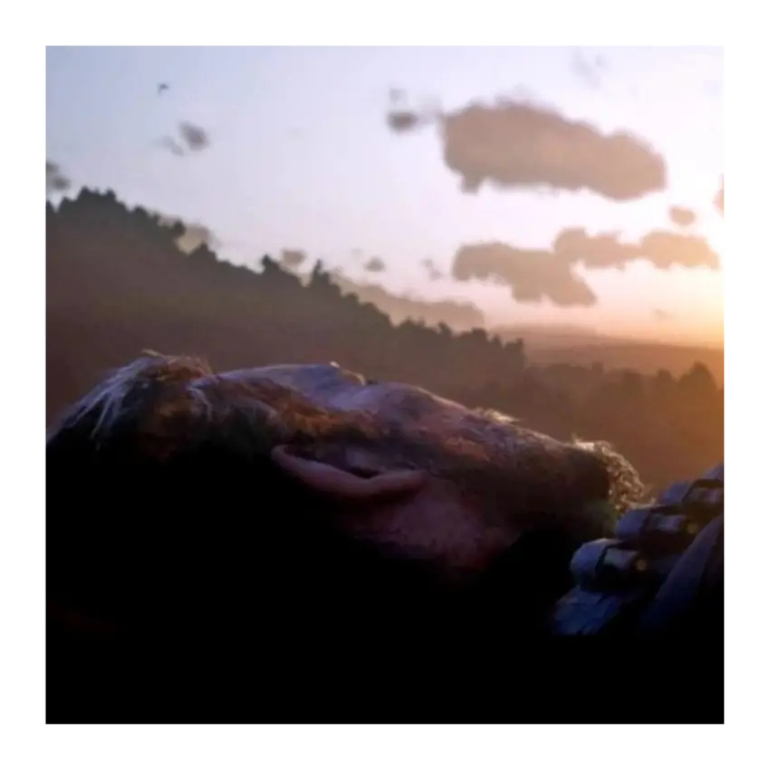 forgottencowboy의 아서 모건의 회상