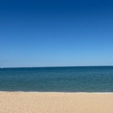 Profile image of Furry Beach