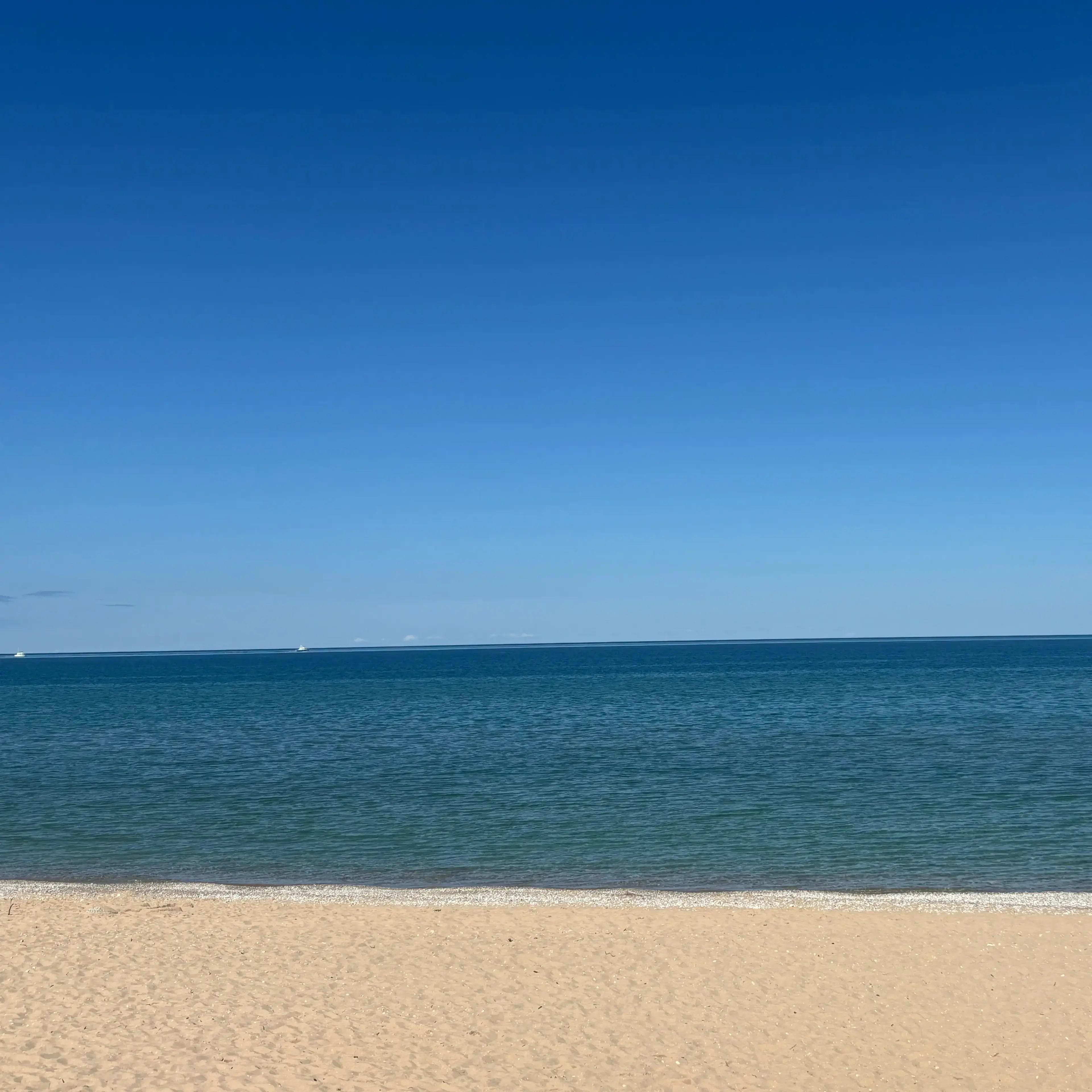 MurkyNews5591의 Furry Beach