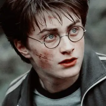 NastyFish1340의 Gryfindor + hunger games