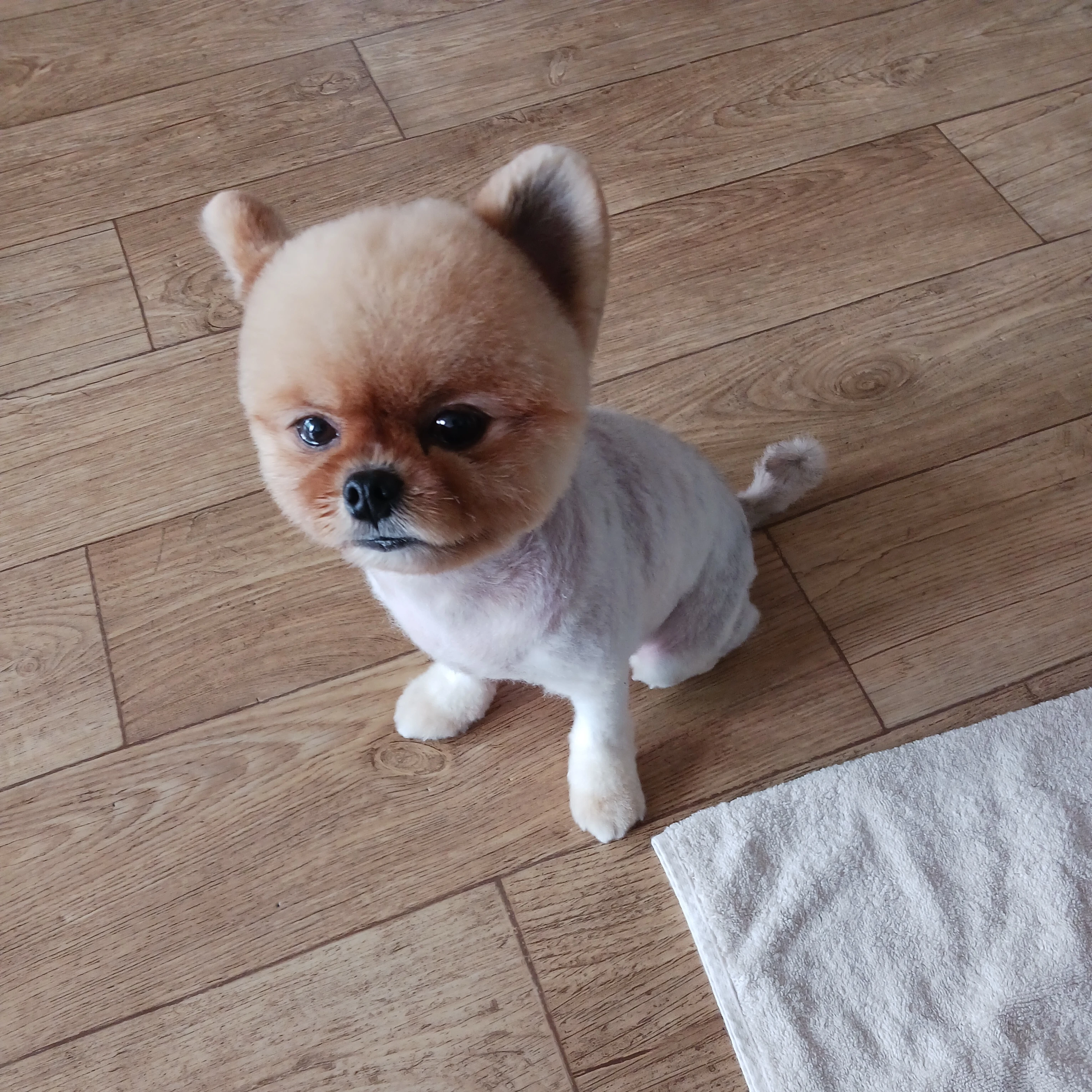 세계관