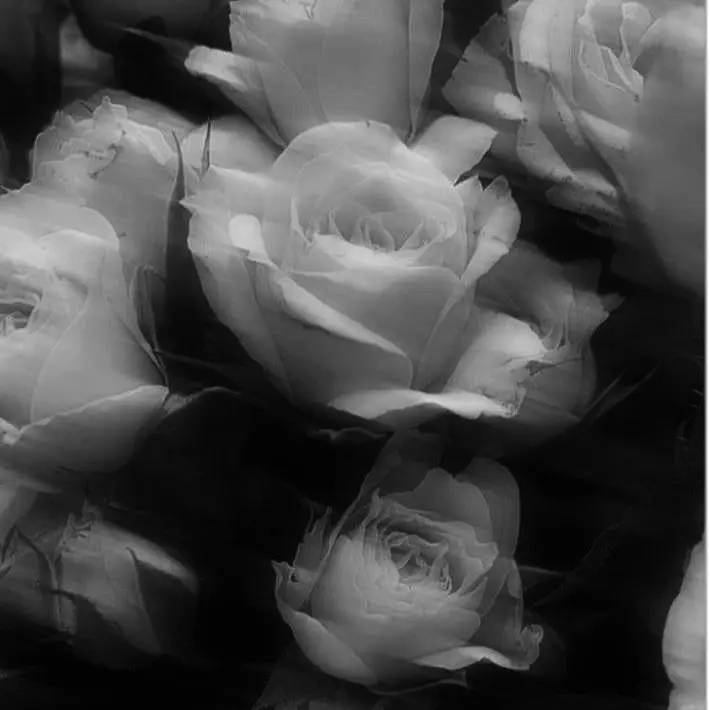 151_167의 World is mine