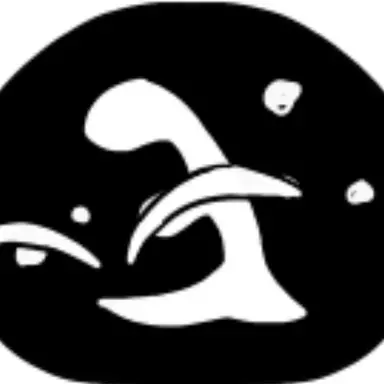 Profile image of 斉藤家