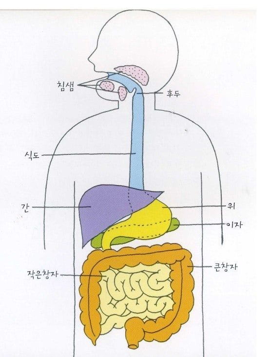 몸 속에서 살아남기 대표 이미지