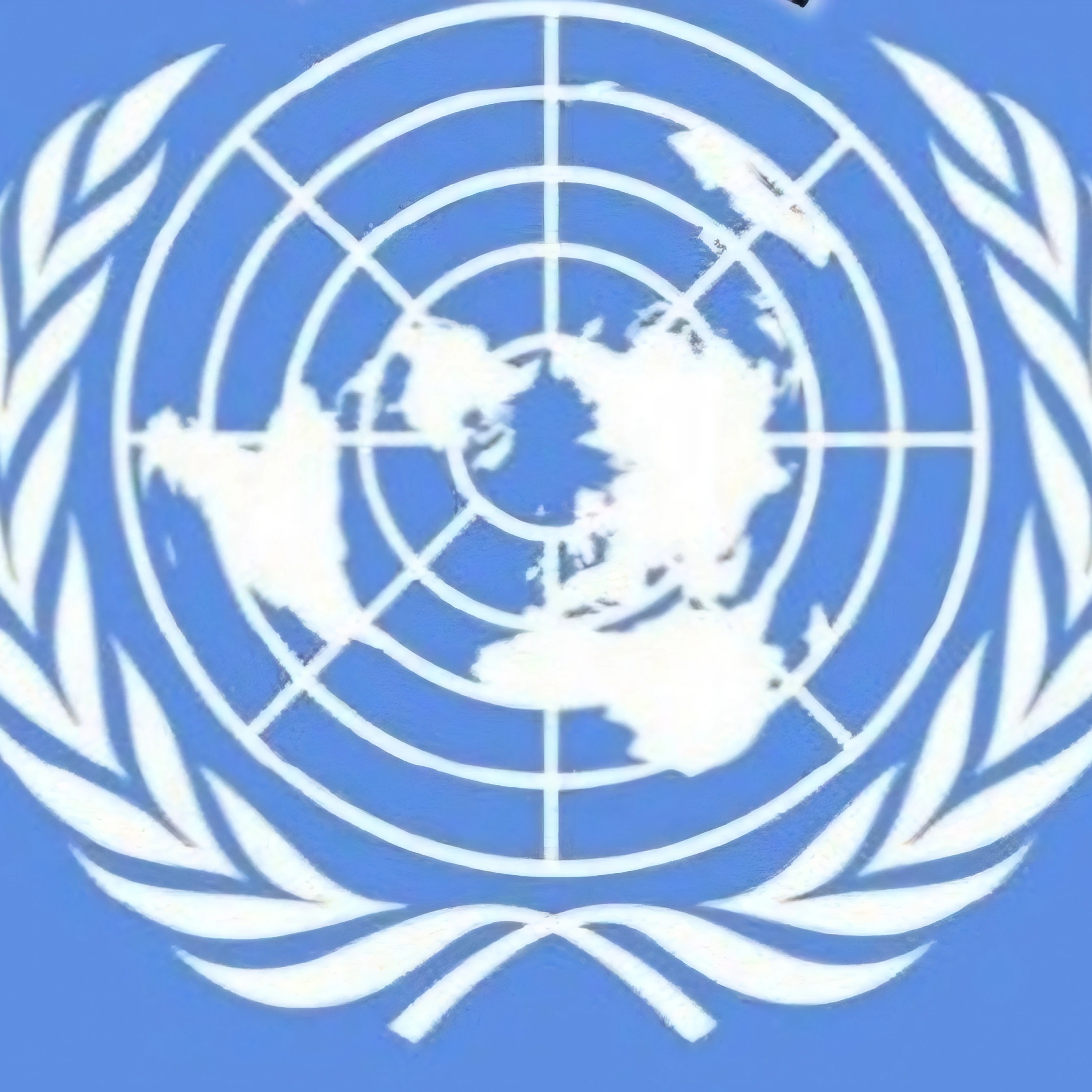 유엔