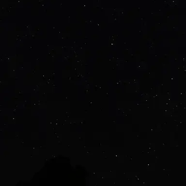 Profile image of 이찬영