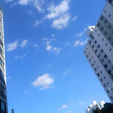 Profile image of 마플