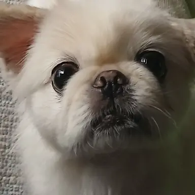 Profile image of えま