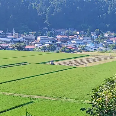 Profile image of 若井先生