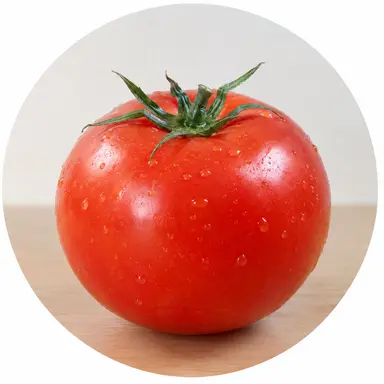 Profile image of Tomato