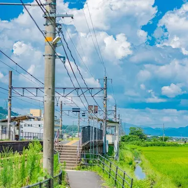 Profile image of Tsuru