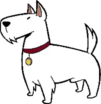 Profile image of 애완동물