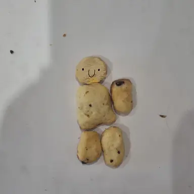 Profile image of 존도