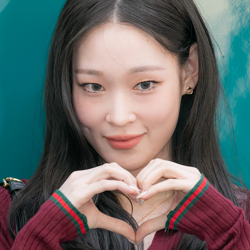 애니