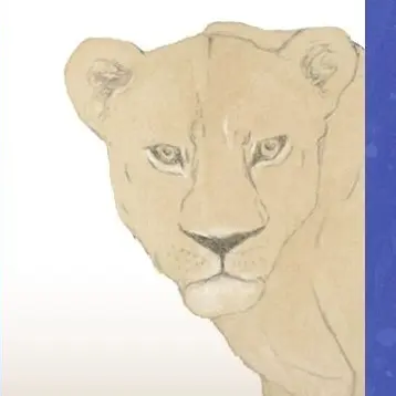 Profile image of ウェジ