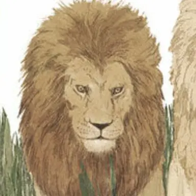 Profile image of カカ