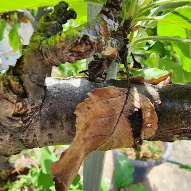 Profile image of 이지훈