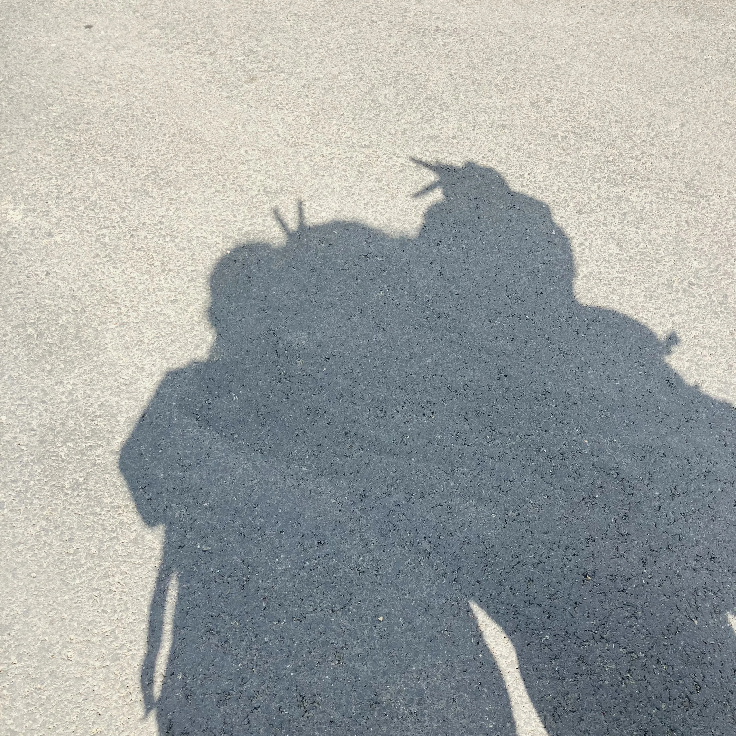 최하빈