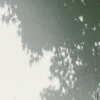Profile image of 나나미 켄토