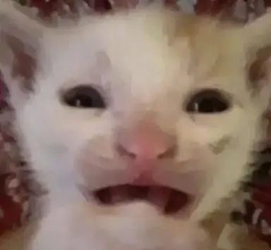 Profile image of 애카