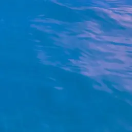 Profile image of 파크모