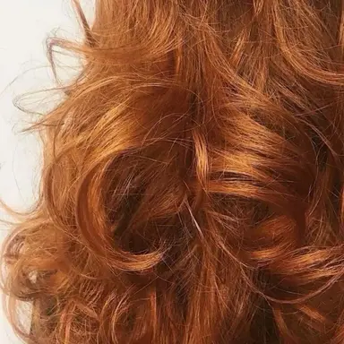 Profile image of 진 그레이