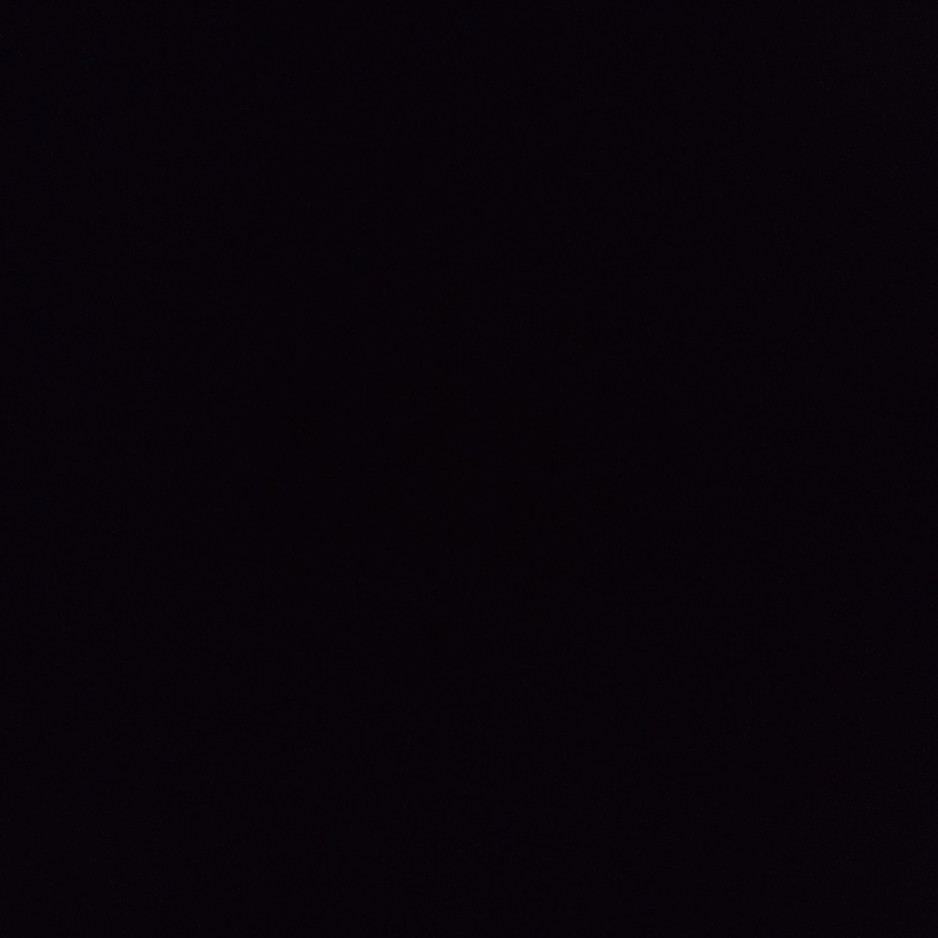 쾌락의 성당