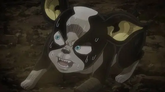 Profile image of イギー