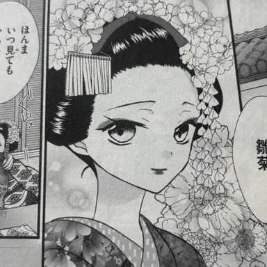Profile image of 雛菊