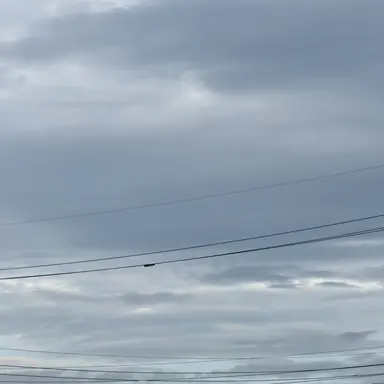 Profile image of 박대장