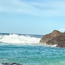 Profile image of 윤똥아지