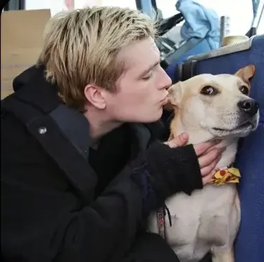 Profile image of Josh