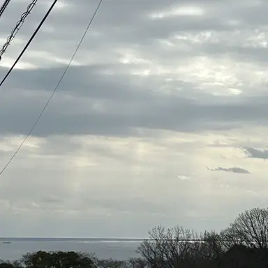 Profile image of 吉田仁人