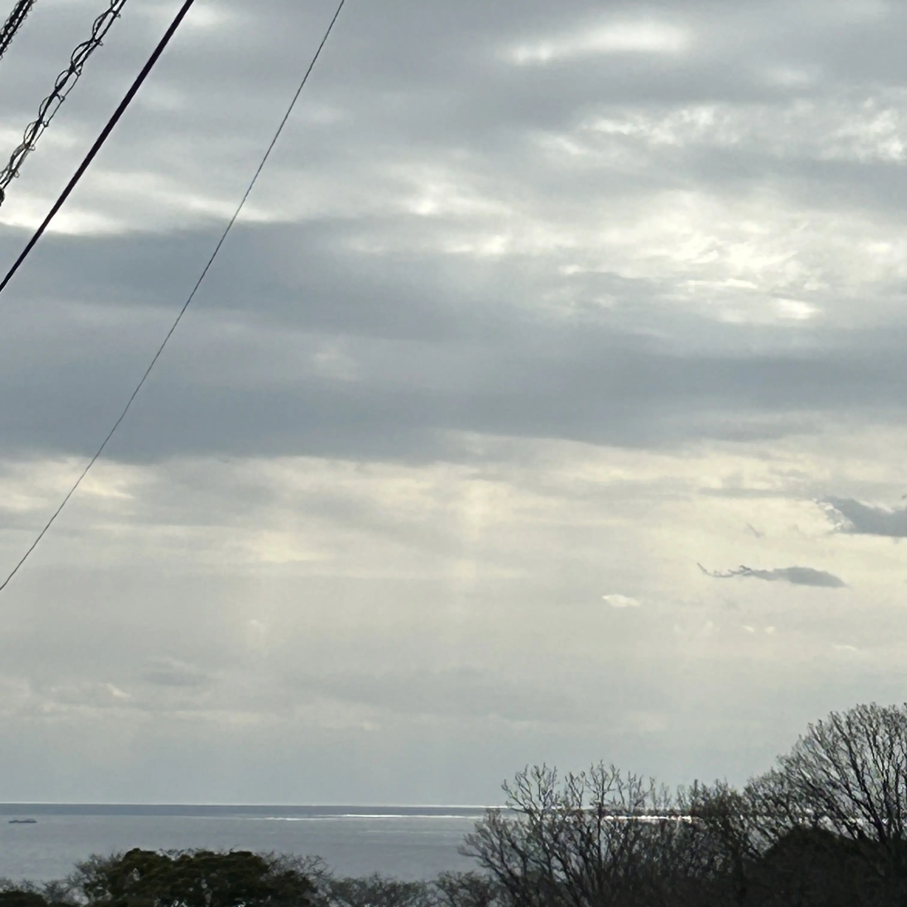 HonestLeech5019의 ラジオ