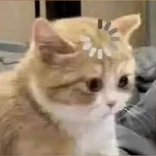 권수녕