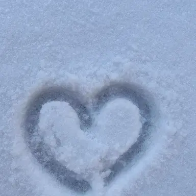 Profile image of 백류안