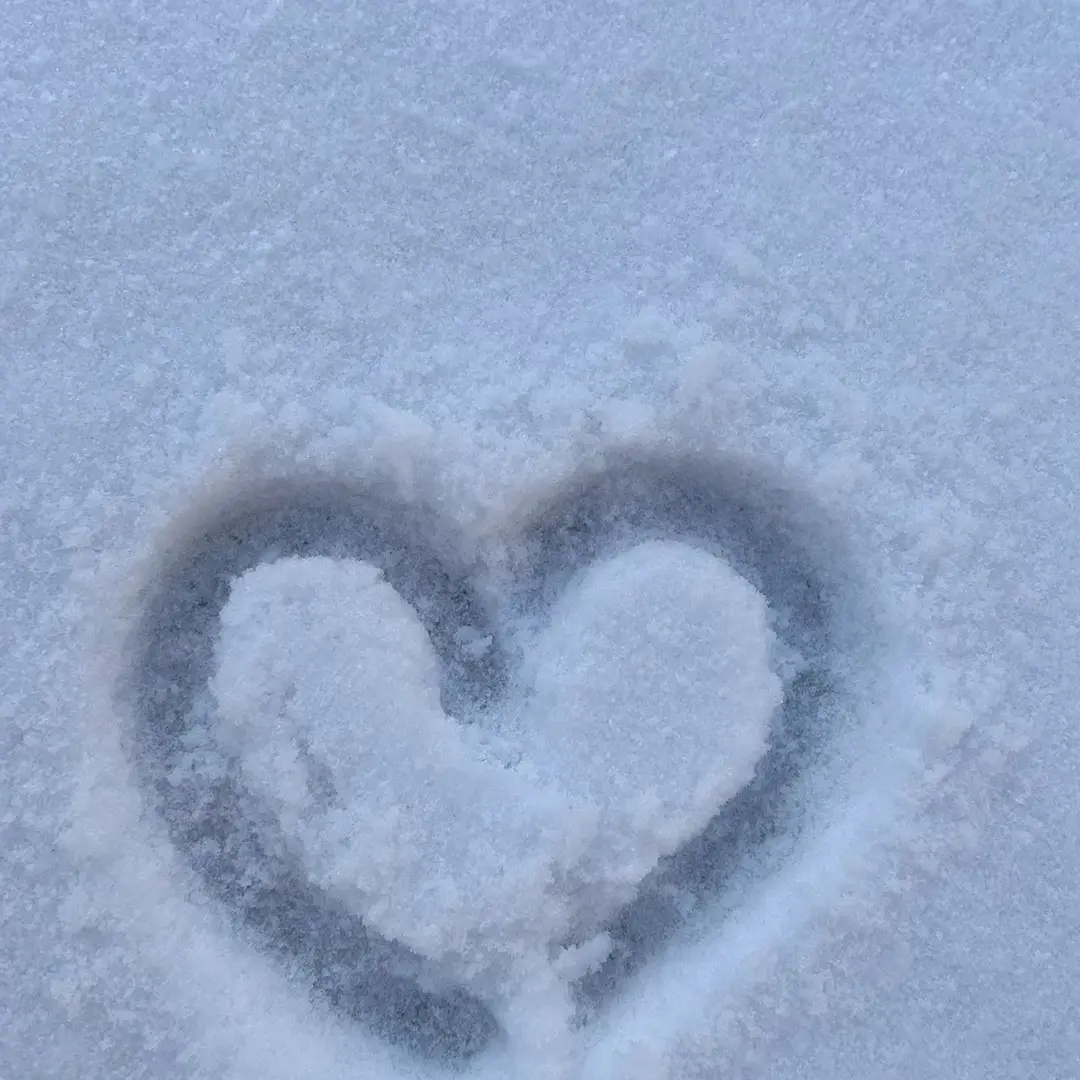 Ssssssssseeeee의 백류안